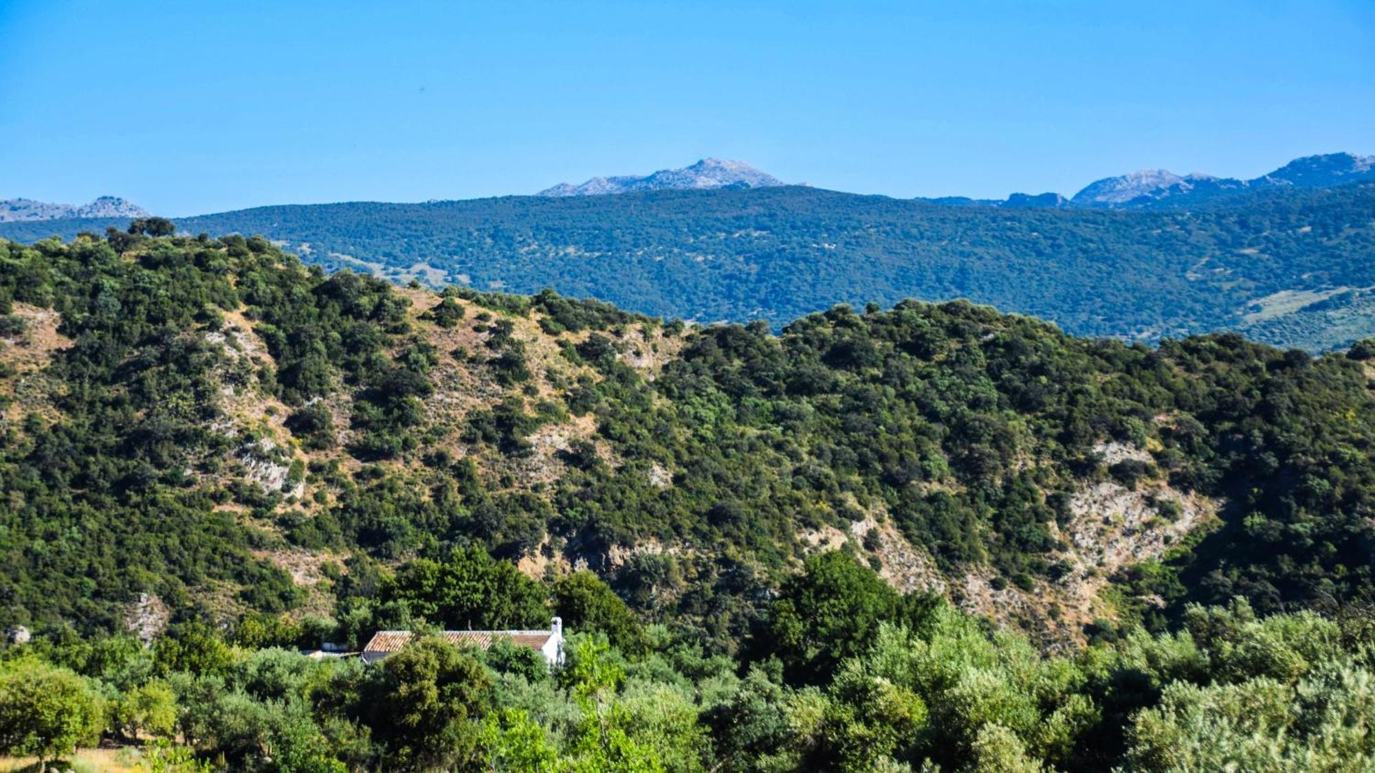 Casas Rurales Los Algarrobales El Gastor Esterno foto