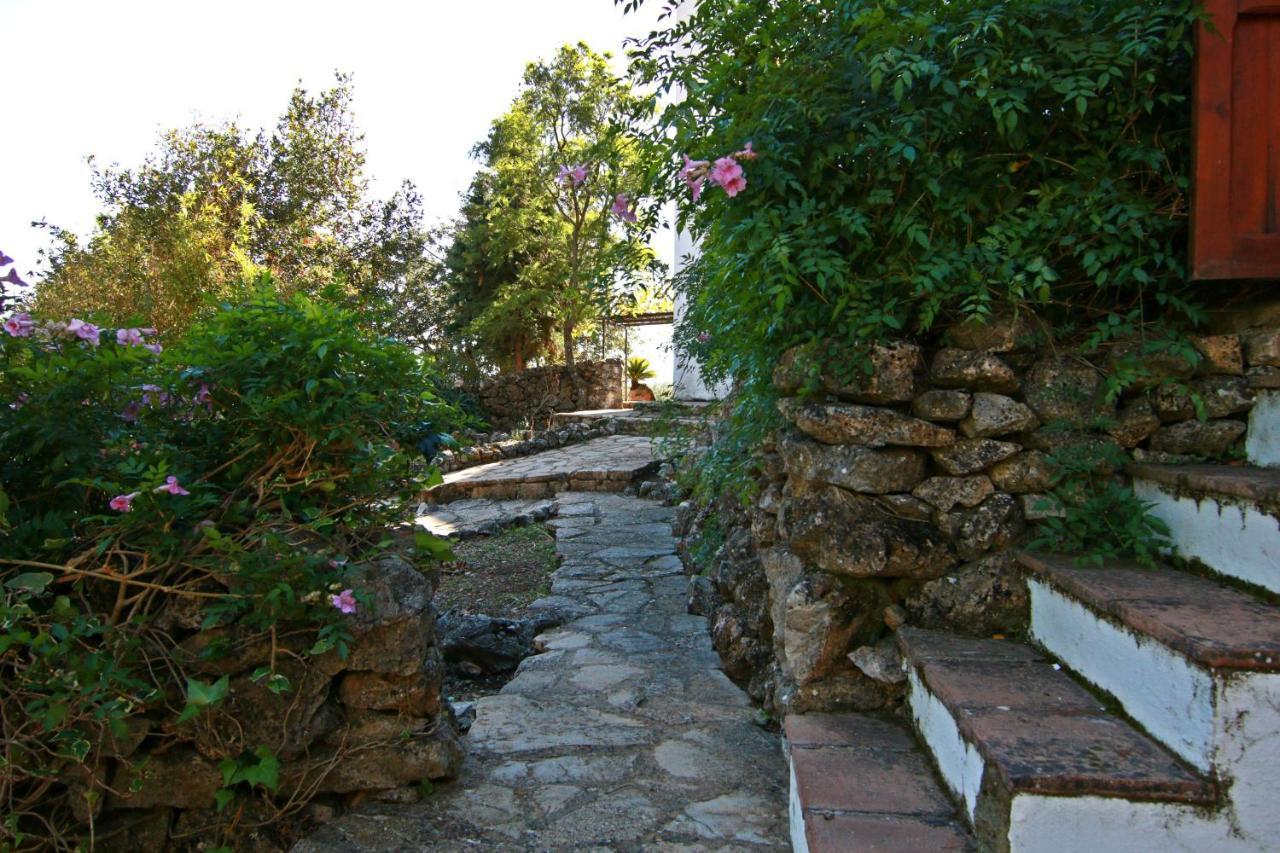 Casas Rurales Los Algarrobales El Gastor Esterno foto