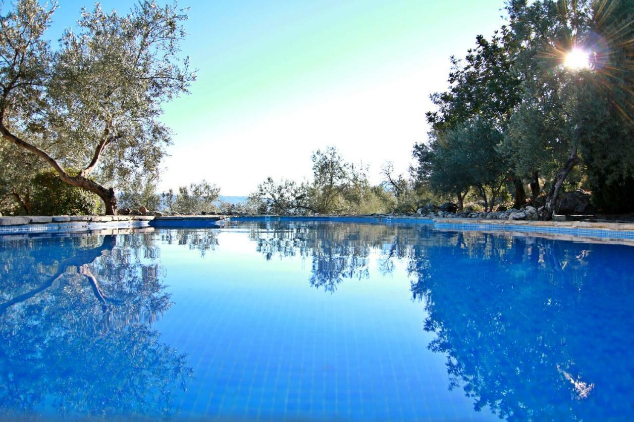 Casas Rurales Los Algarrobales El Gastor Esterno foto