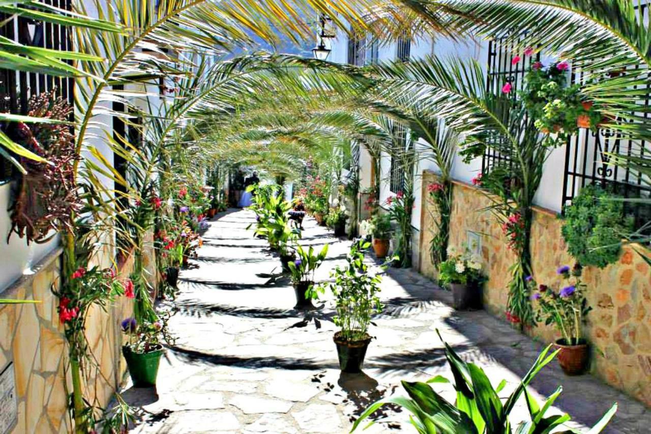 Casas Rurales Los Algarrobales El Gastor Esterno foto