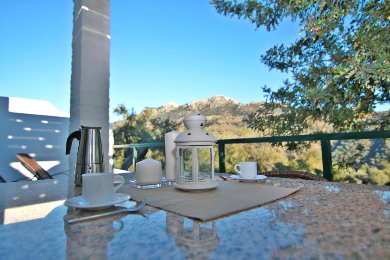 Casas Rurales Los Algarrobales El Gastor Esterno foto